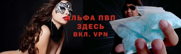 ПСИЛОЦИБИНОВЫЕ ГРИБЫ Арсеньев