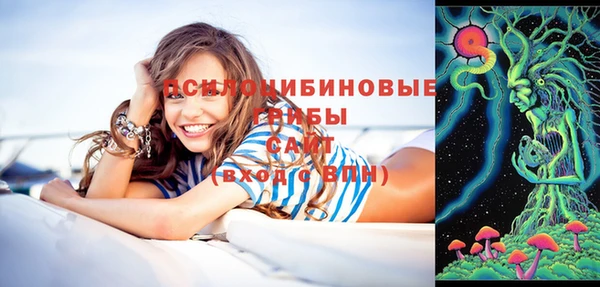 МДПВ Пересвет
